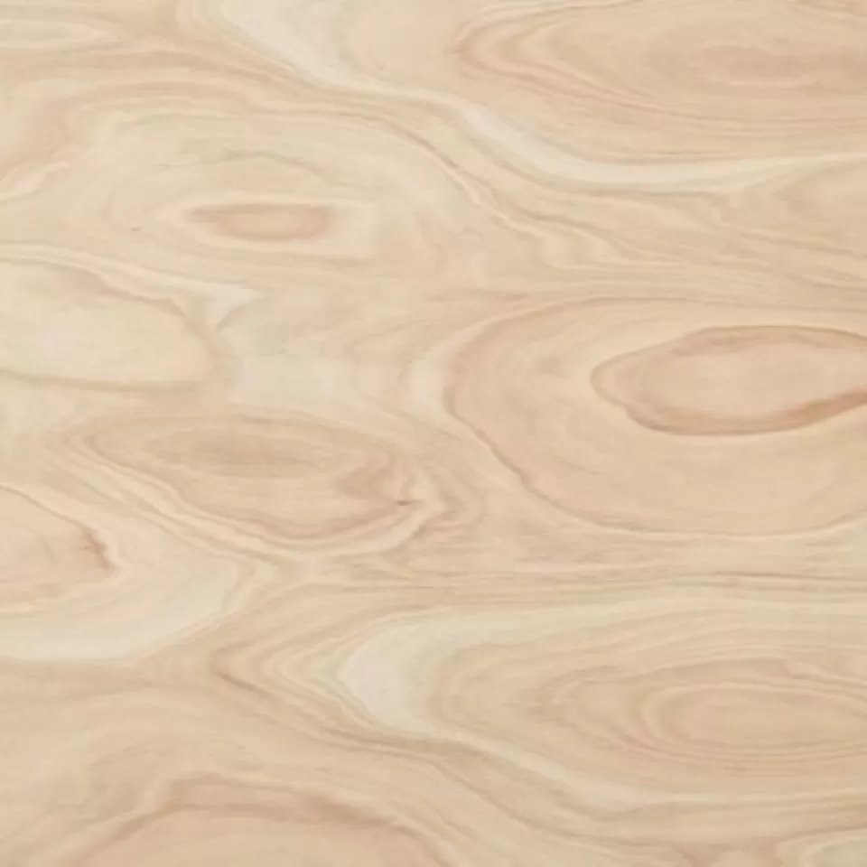 imagen 2 de Compensado Fenolico Eucaliptus C+C 12mm