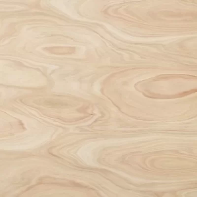 imagen de Compensado Fenolico Eucaliptus Overlay 18mm