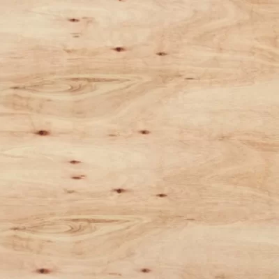 imagen de Compensado Fenolico Eucaliptus CDX 12mm