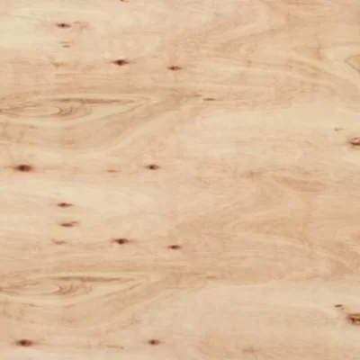 imagen de Compensado Fenolico Eucaliptus CDX 15mm