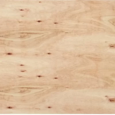 imagen de Compensado Fenolico Eucaliptus CDX 18mm