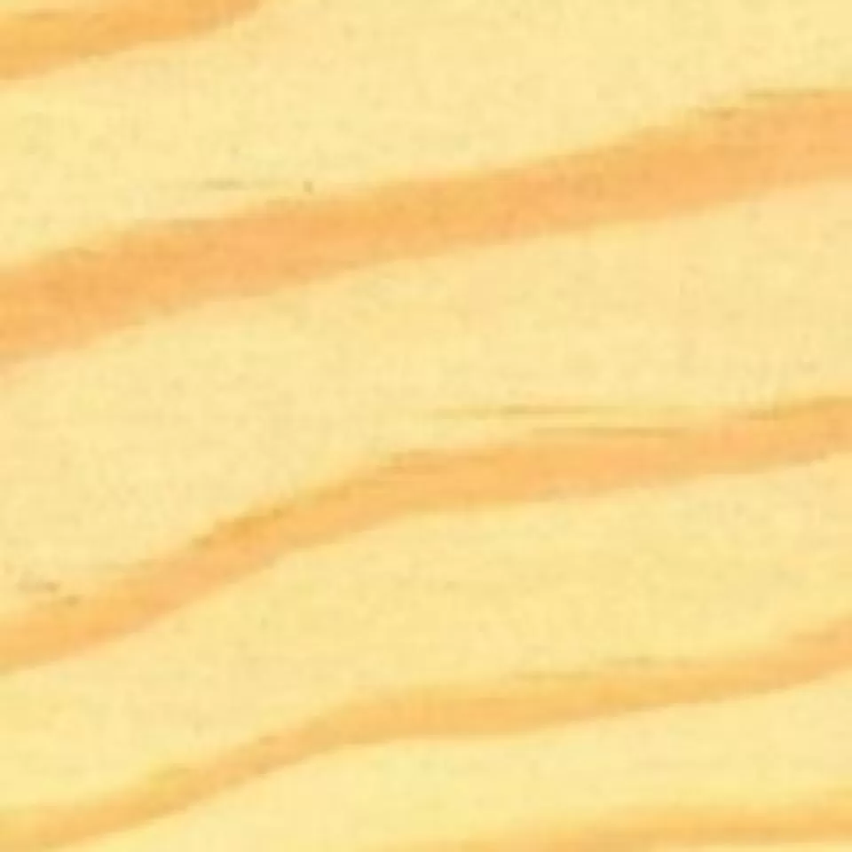 imagen 2 de Pino Amarillo 