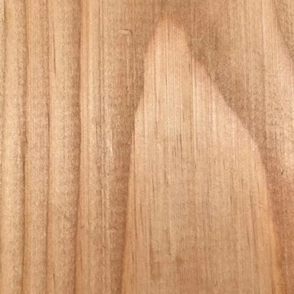 imagen 2 de Pino Oregon 